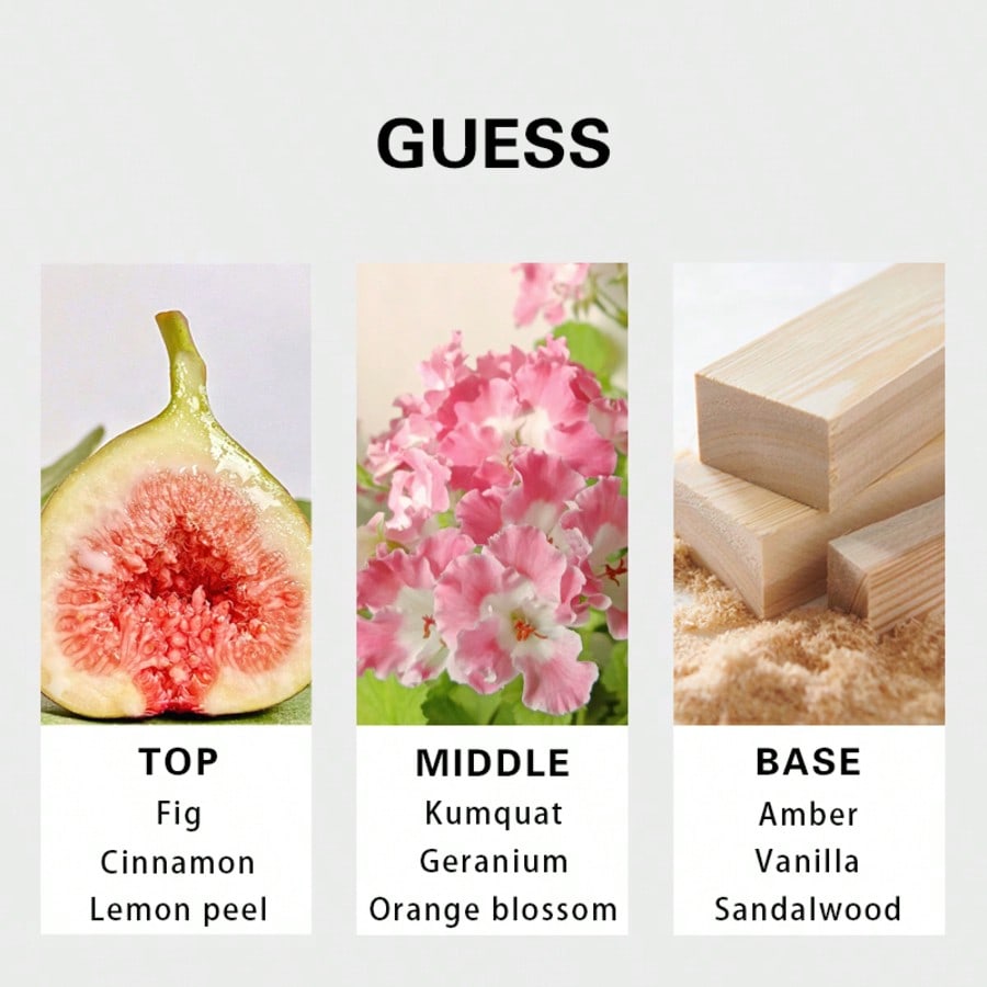 Guess Seductive Homme Redmen E - Perfume Fragrances บทวิจารณ์และราคา